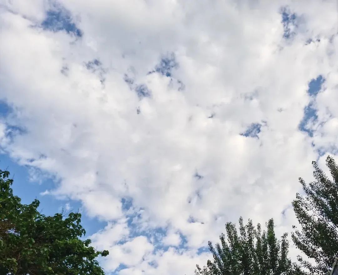 蝴蝶兰适合什么情况送,蝴蝶兰送礼一对还是一盆