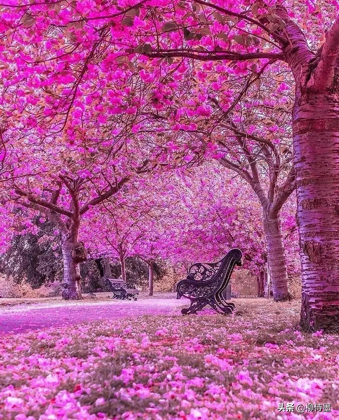 手机摄影照片细节拍摄技巧,手机摄影拍照的五大误区