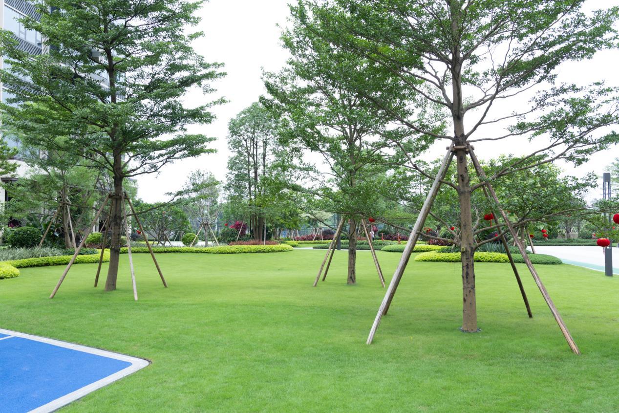 天天交付｜A区如期兑现，时代印记（广州）如何诠释精工品质？