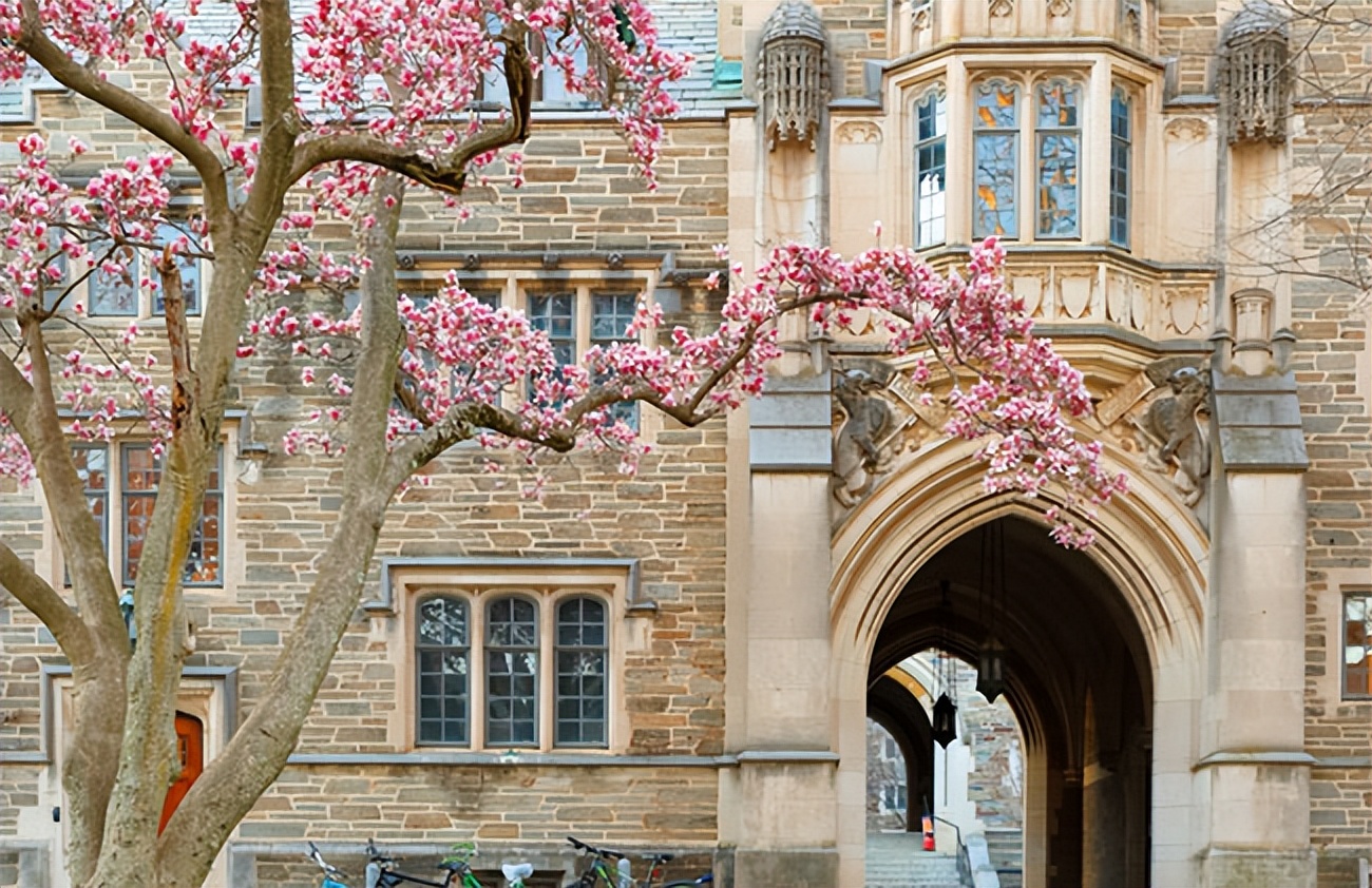 美国留学院校丨美本的No.1：普林斯顿大学