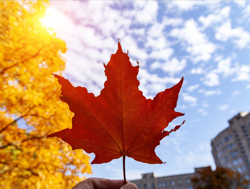 高山有意皆禅语,流水无情挂孤帆