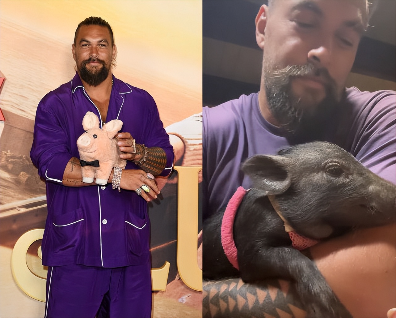 杰森·莫玛现状,杰森莫玛采访搞笑