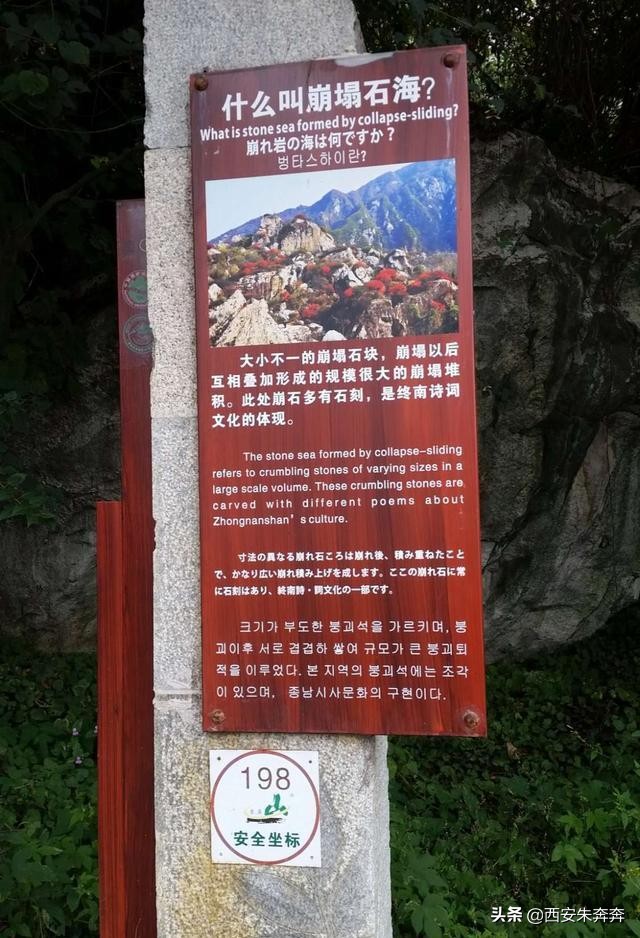 翠华山爬山攻略,翠华山爬山攻略一日游