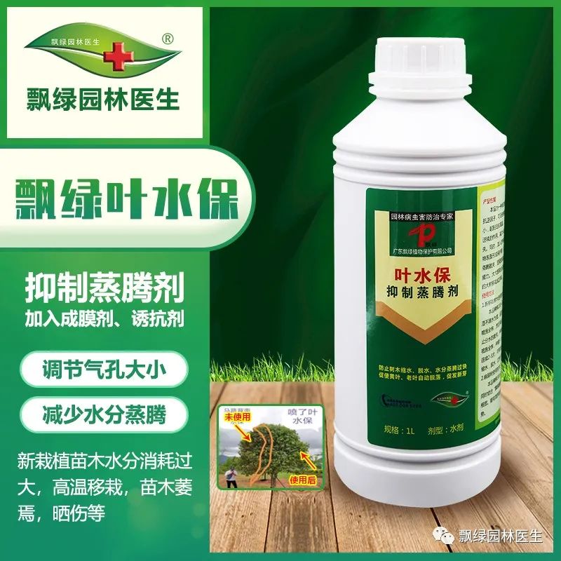 草坪苗木生长抑制最好方法,草坪灌木苗的养殖方法