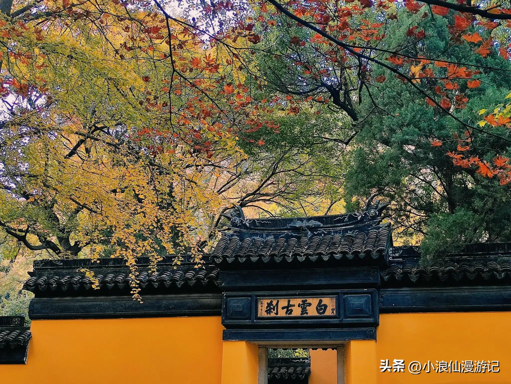 苏州天平山赏枫品茶的句子,苏州赏枫除了天平山还有哪