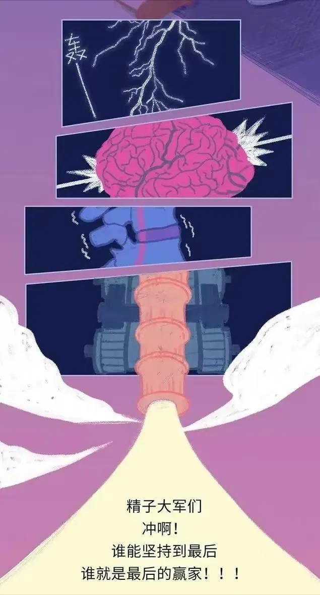 精子在人体24小时经历了什么,精子在人体24个小时都经历了什么