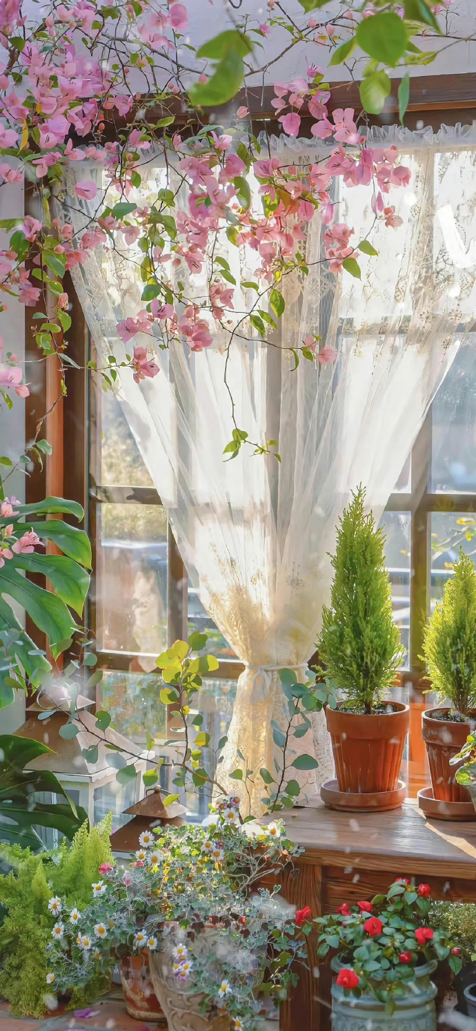 街角花店图片壁纸,花店壁纸图片大全