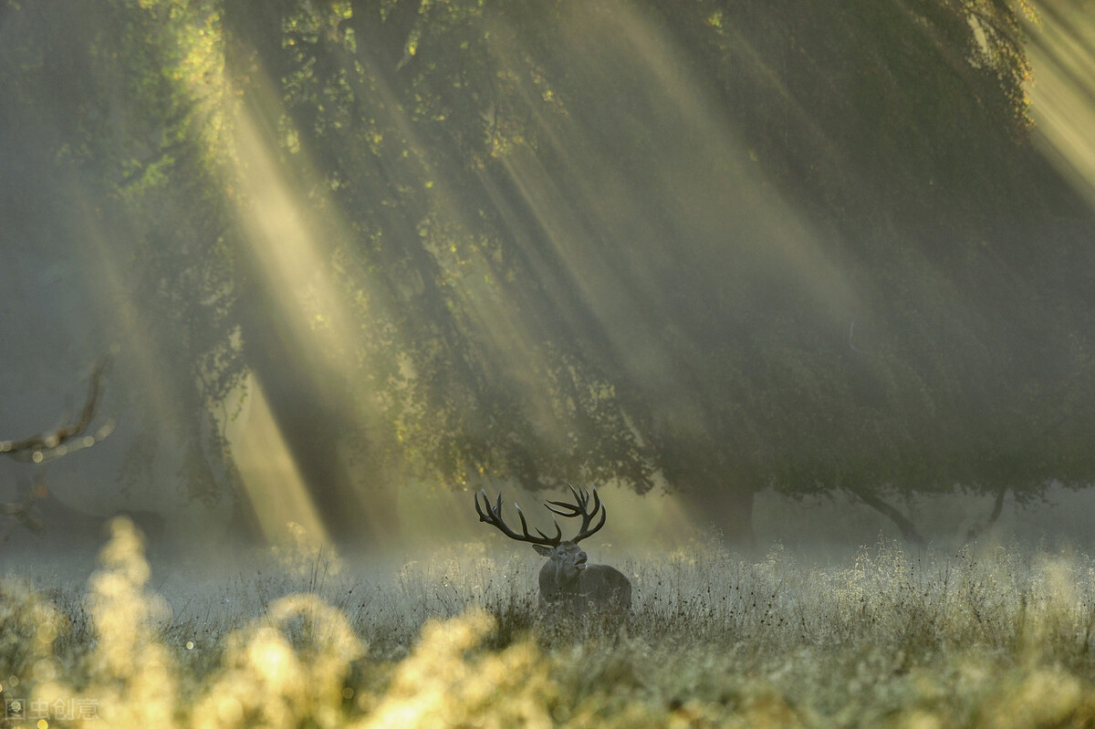 人生留下自己的足迹,生活路上遇见最美的自己