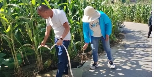 辛巴开国货计划新时代，即墨龙山：非遗公益课堂成暑期学习