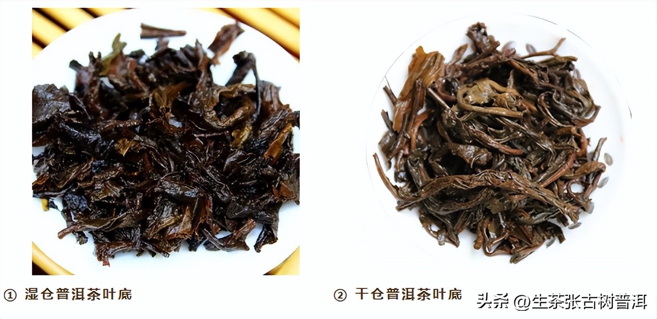 普洱茶知识100字左右,关于普洱茶的知识大全书籍有哪些
