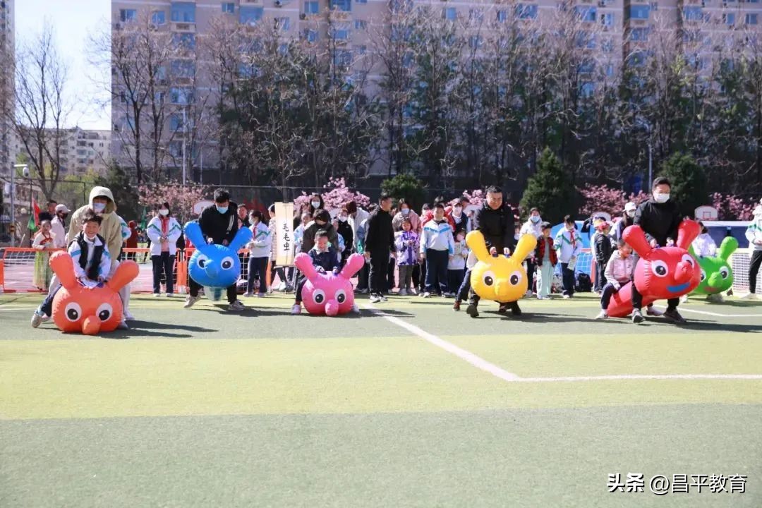 赋能于师丨城区学区在行动!