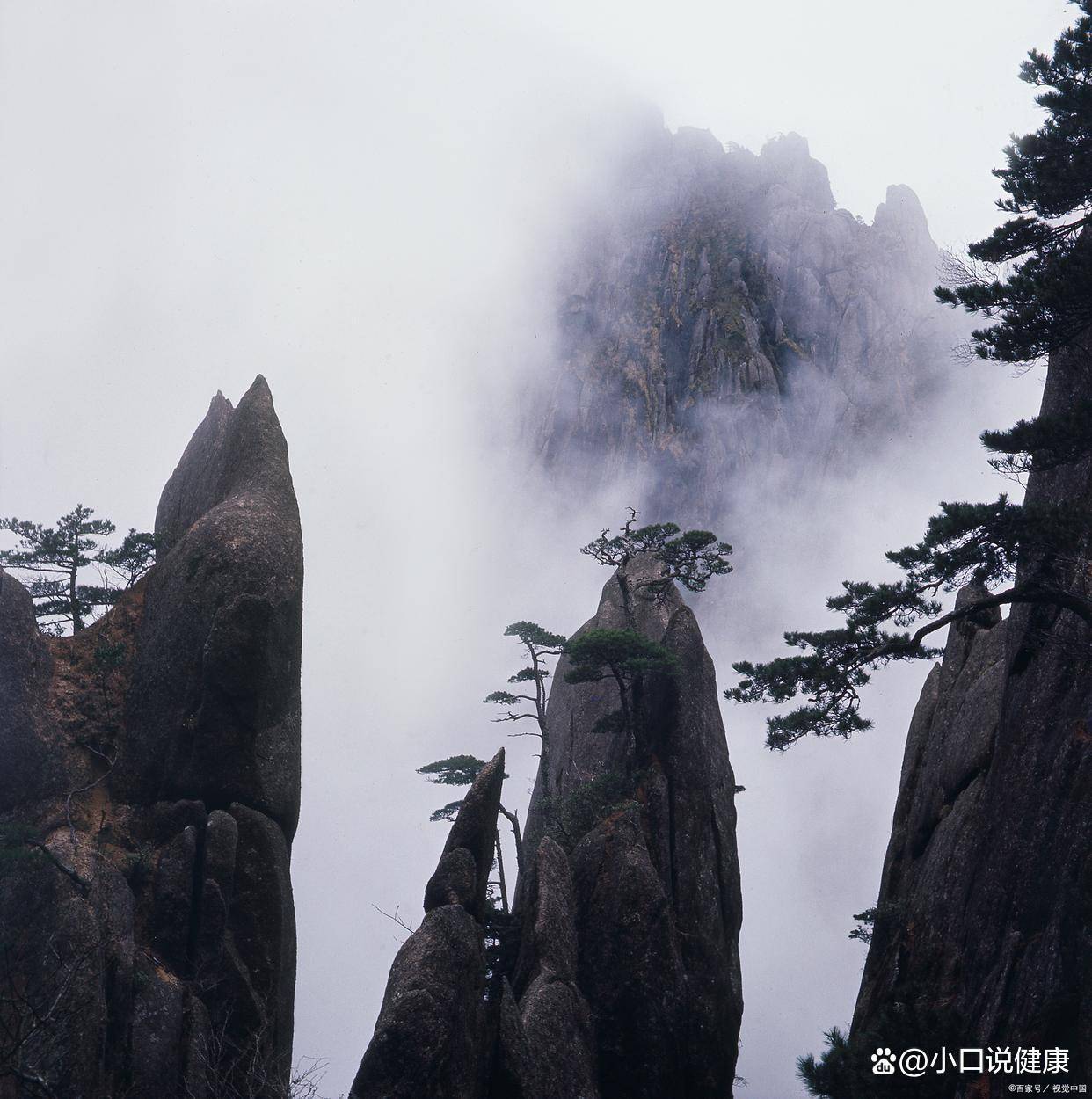 情侣去黄山两日游费用多少,黄山情侣两日游攻略