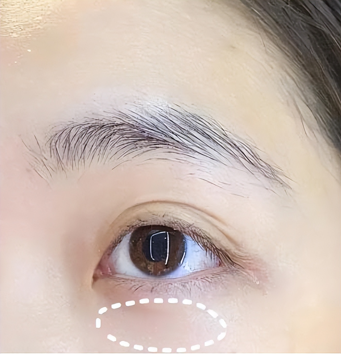 兰蔻菁纯眼霜对比海蓝之谜眼霜,资生堂时光眼霜pk海蓝之谜眼霜