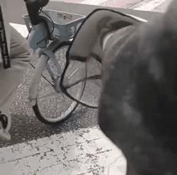 劝人不要谈恋爱的幽默句子,不谈恋爱的正能量语录