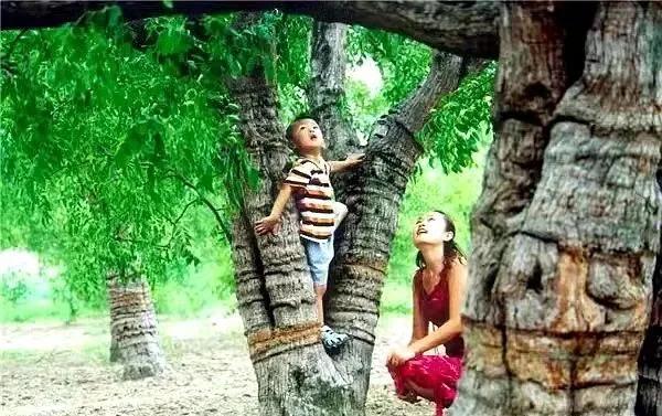 来黄骅必去的地方,来黄骅必玩