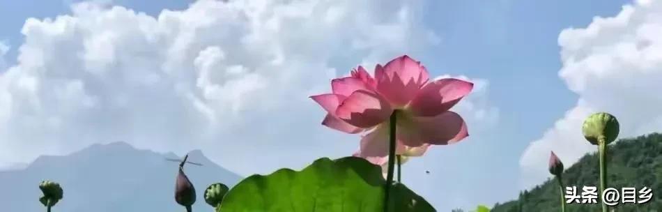 干部提前退休审批,退休人员可以返聘领导岗位吗