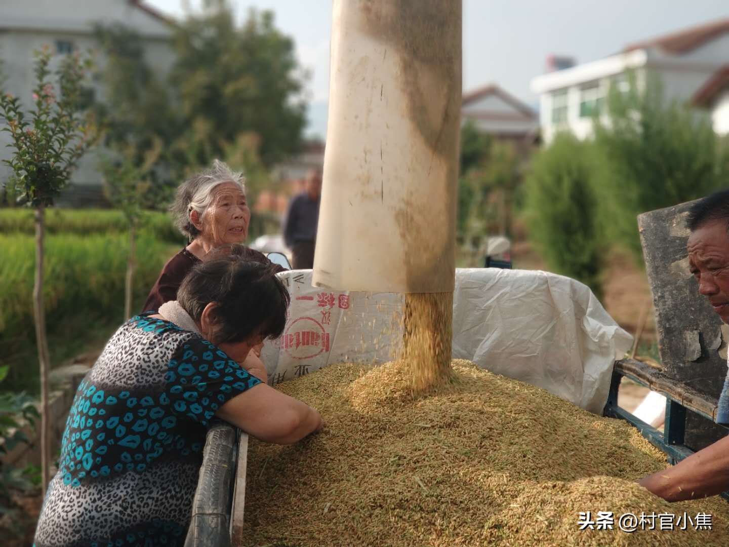 国家对农民养老金的新政策,400元农民养老金最新政策