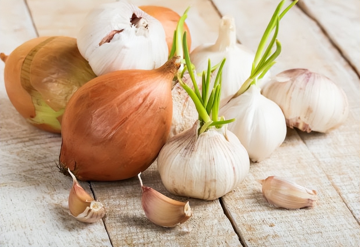 狗狗不能吃的水果清单表,狗狗不能吃的食物完整版