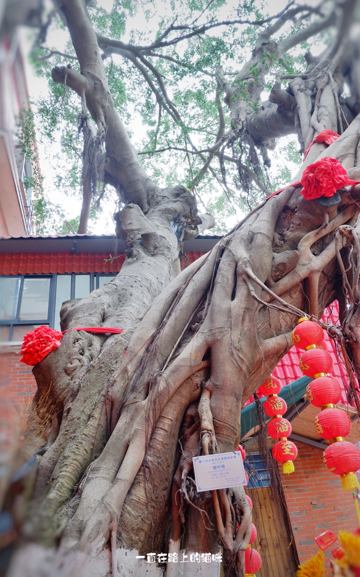 厦门鼓浪屿柏曼城市便捷酒店,鼓浪屿住宿条件较好的酒店