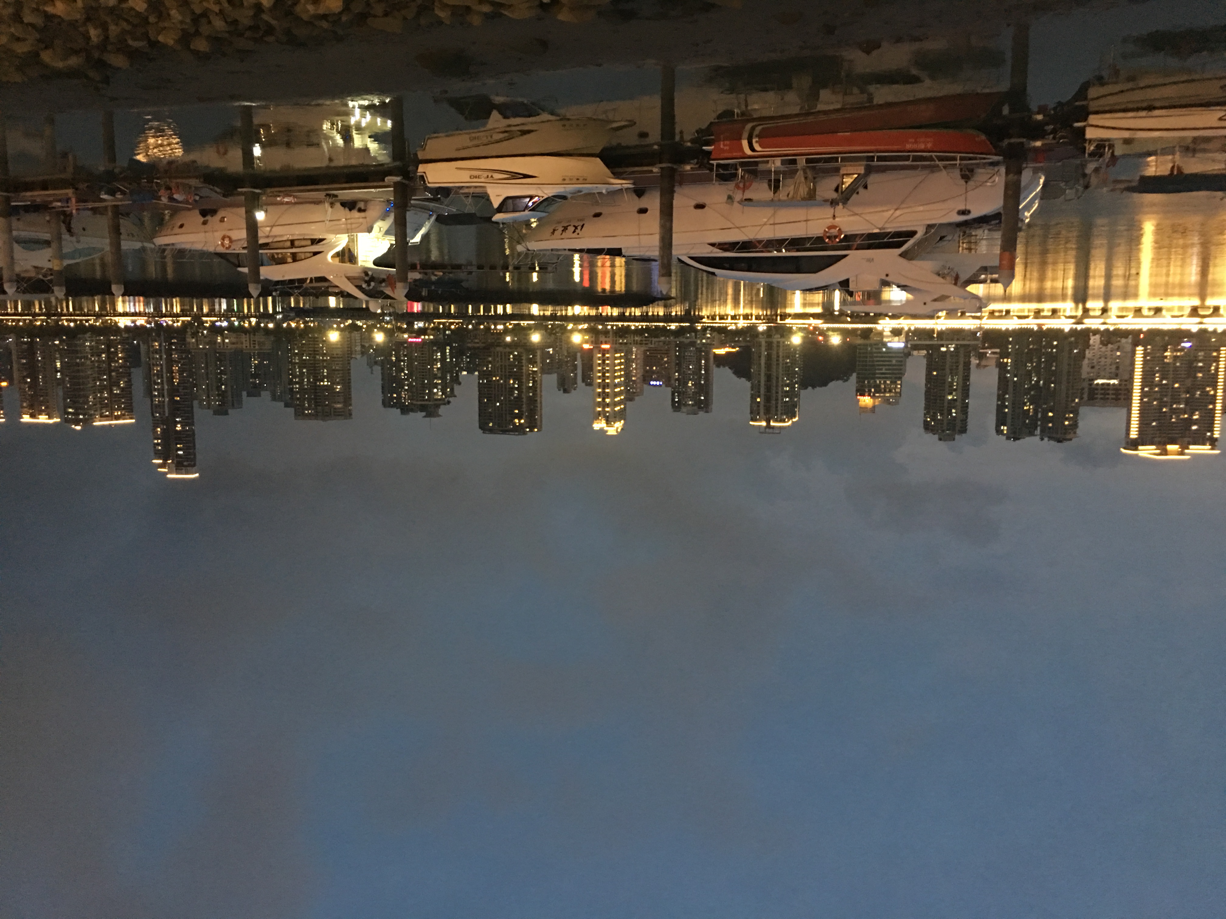 情迷珠海,最美海狸鸟