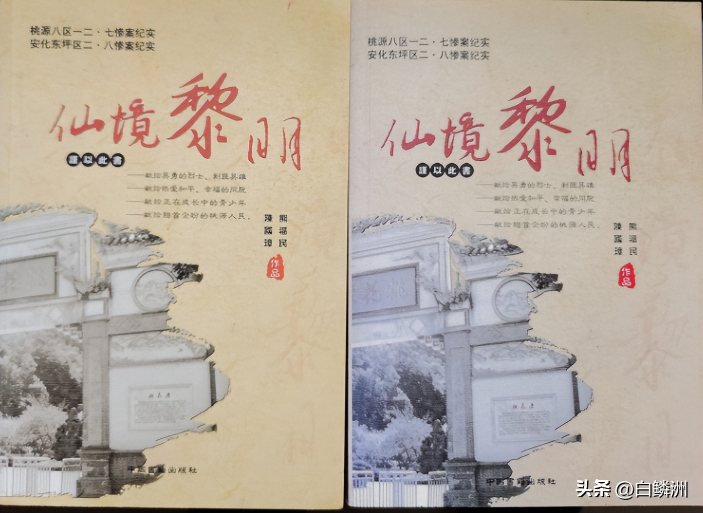 桃源剿匪记小说全文阅读,桃源剿匪82