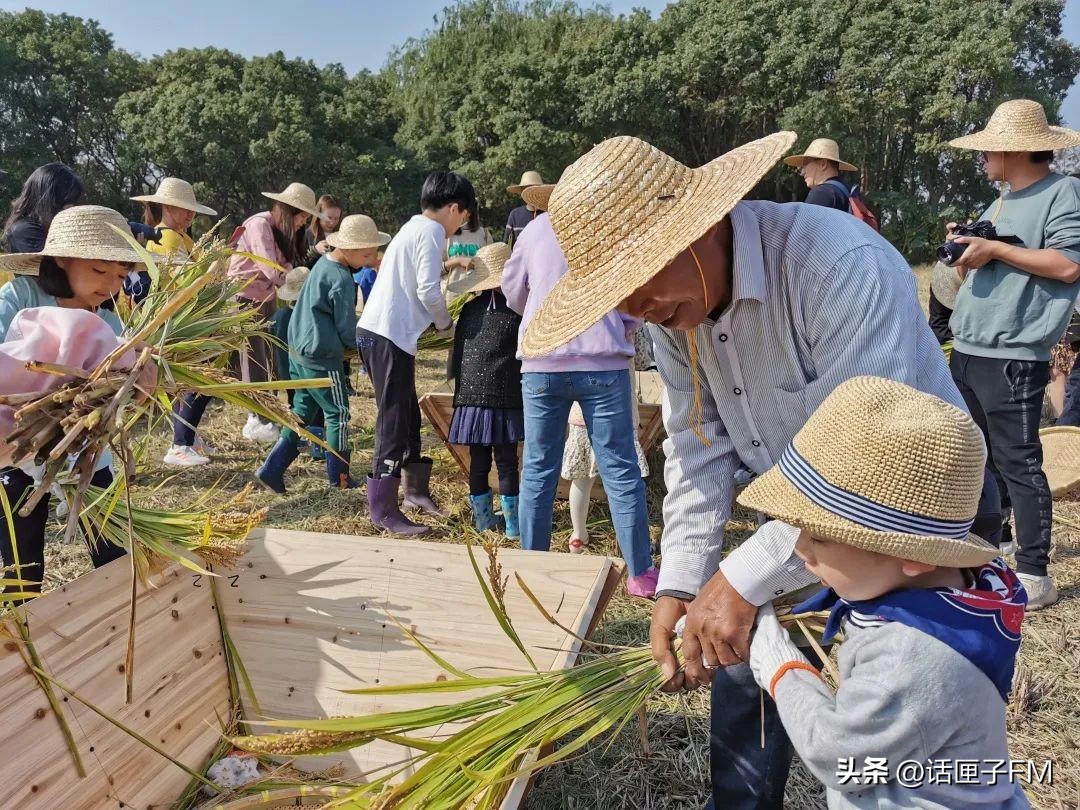 “赵”亮梦想,“巷”往成功,6000年崧泽水土之上,数字干线蓄势待发