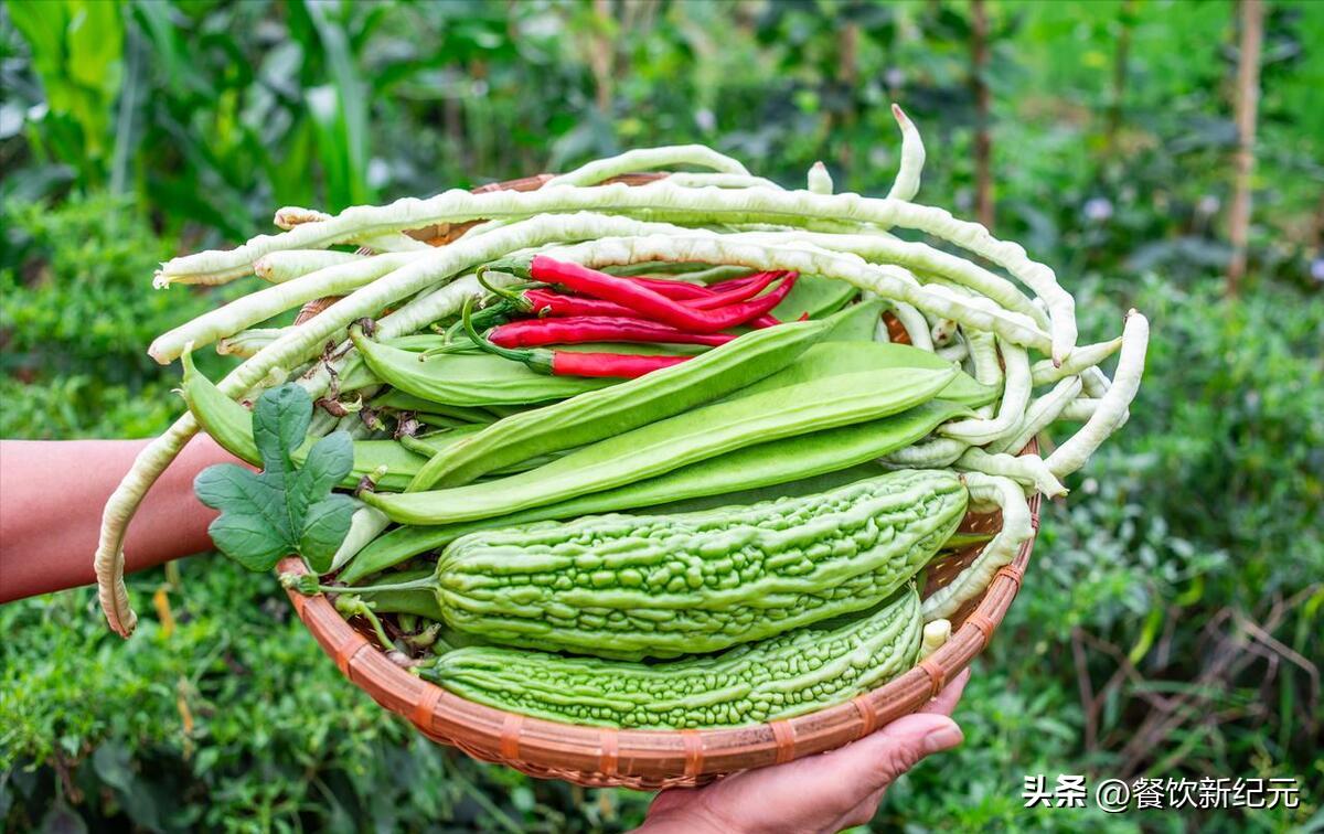 小贴士你不可不知的小暑养生秘诀,小暑养生小窍门