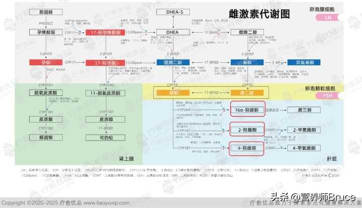 女的新冠后长胡子怎么办,江苏女子感染新冠后长出浓密胡子
