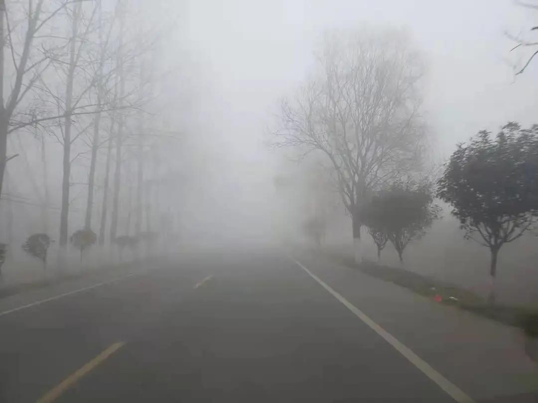 河南省驻马店市汝南县大雾预警,今晨大雾宛如仙境
