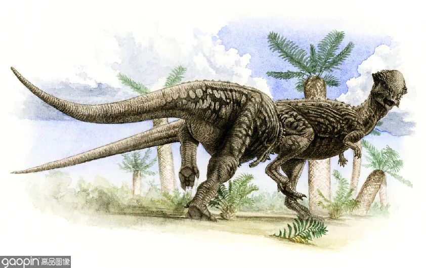 侏罗纪世界进化3恐龙打架,恐龙电影侏罗纪3