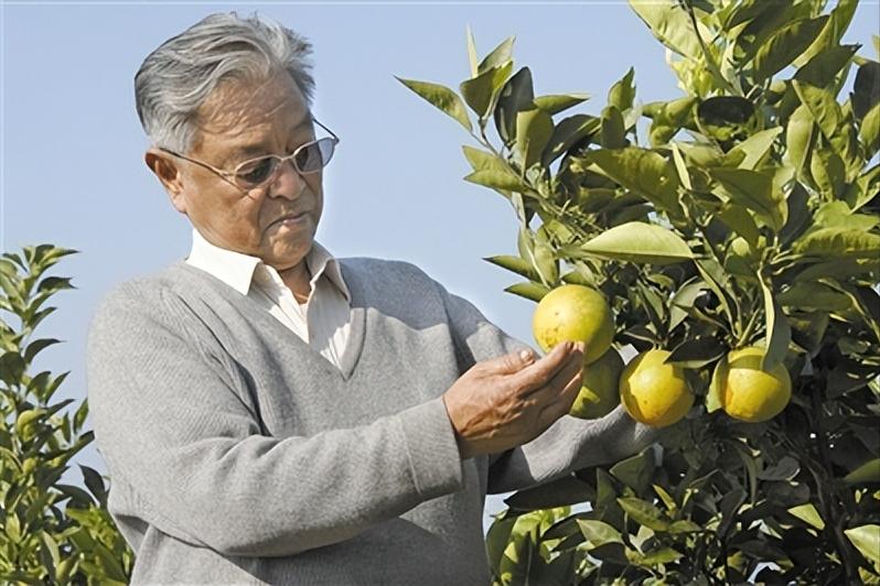 天灾*祸人**中走出的“*草烟**大王”贪污上亿成阶下囚,84岁东山再起