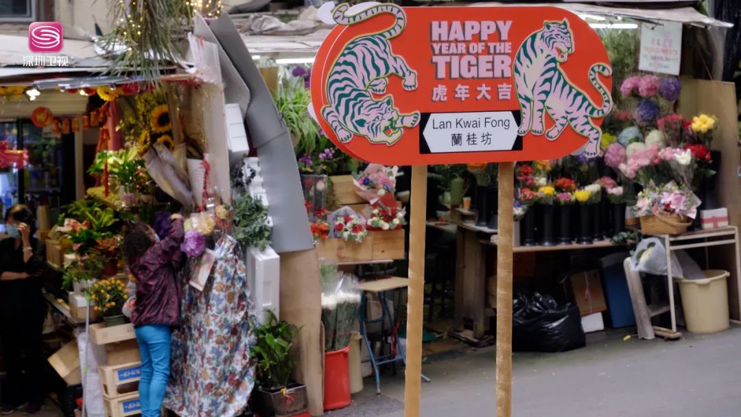 “兰桂坊之父”不喝酒，赛马会CEO属马……今晚21:25《香港，我们的故事》感受东方之珠的魅力