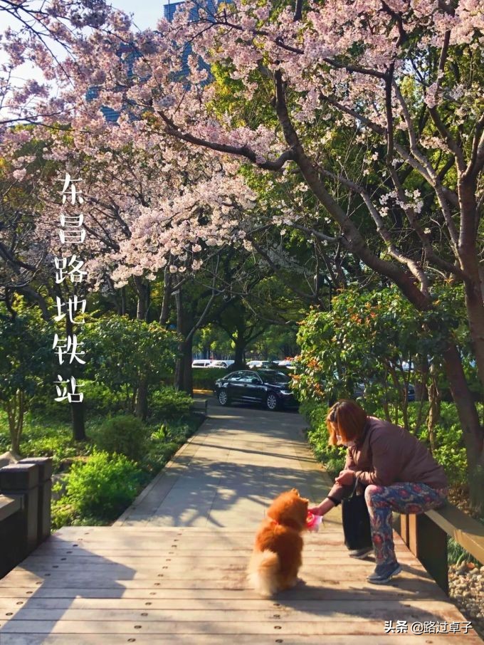 上海地铁旅游景点攻略,上海地铁打卡攻略