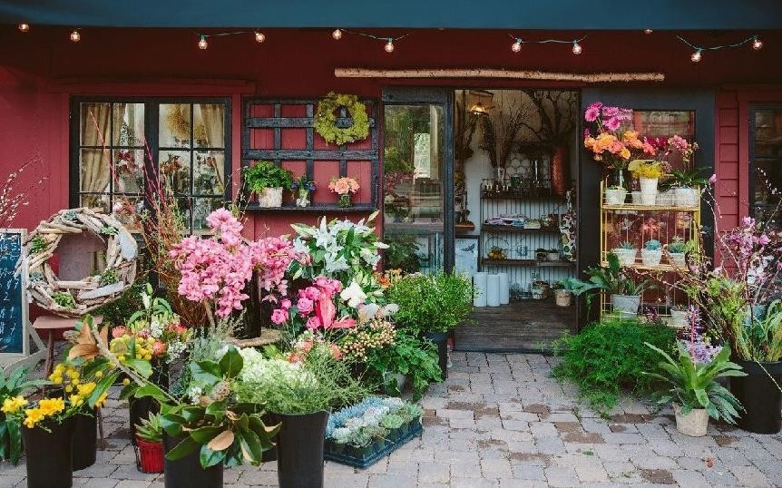 盆栽花卉在哪里买比较好,花卉市场购买盆栽避坑