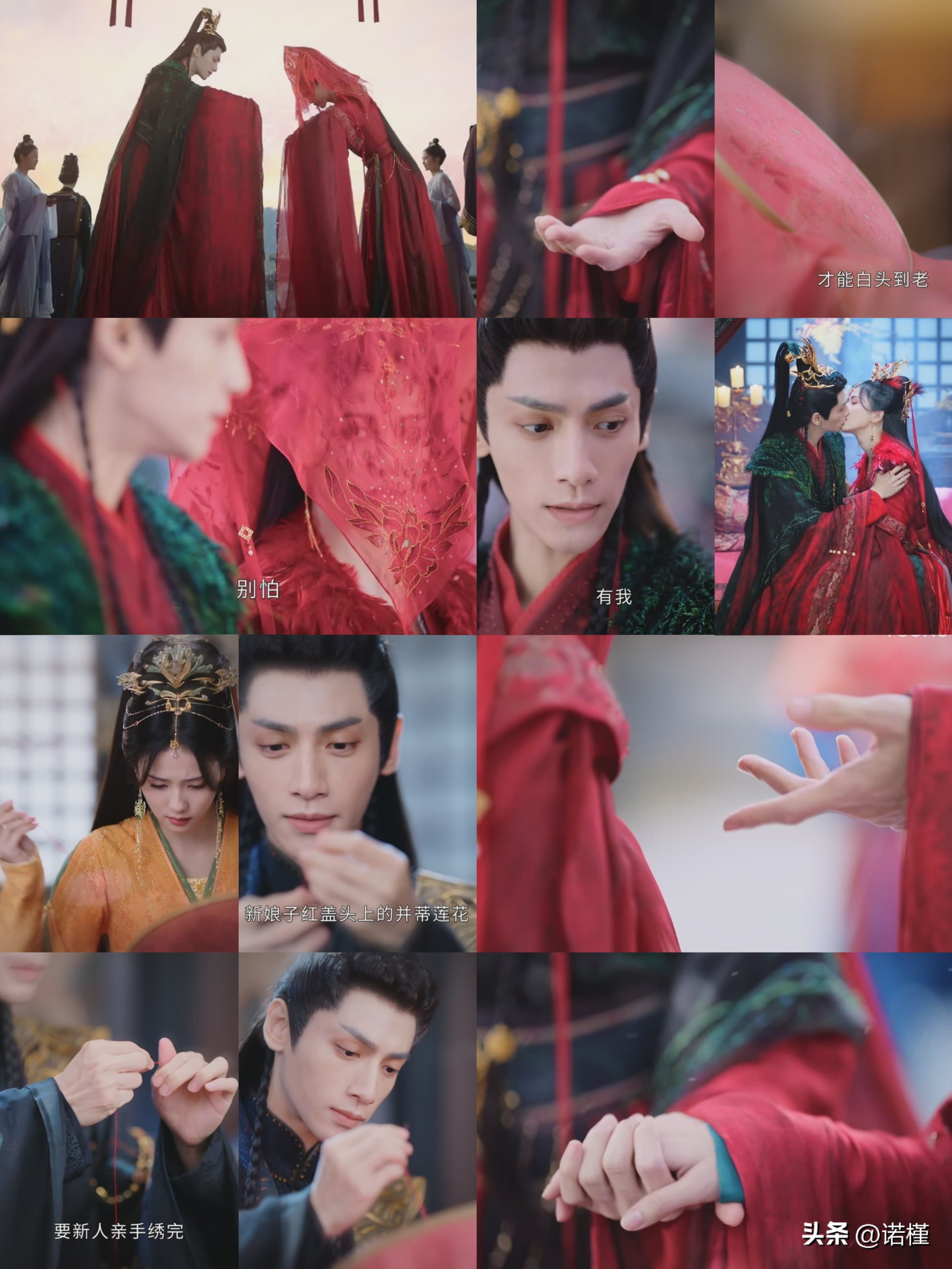 长月烬明和谁最配测试,长月烬明解析35