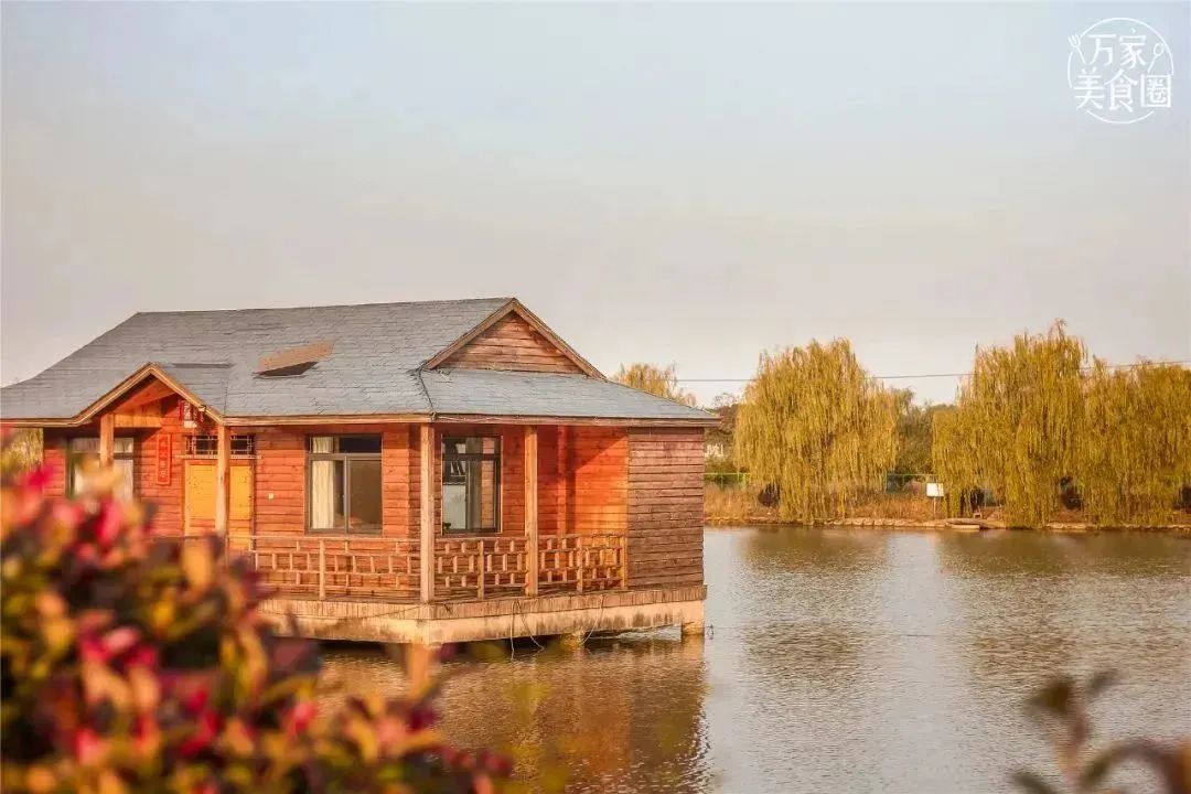 孩子们的快乐星球！周末带娃，肥西这些地方就够啦！