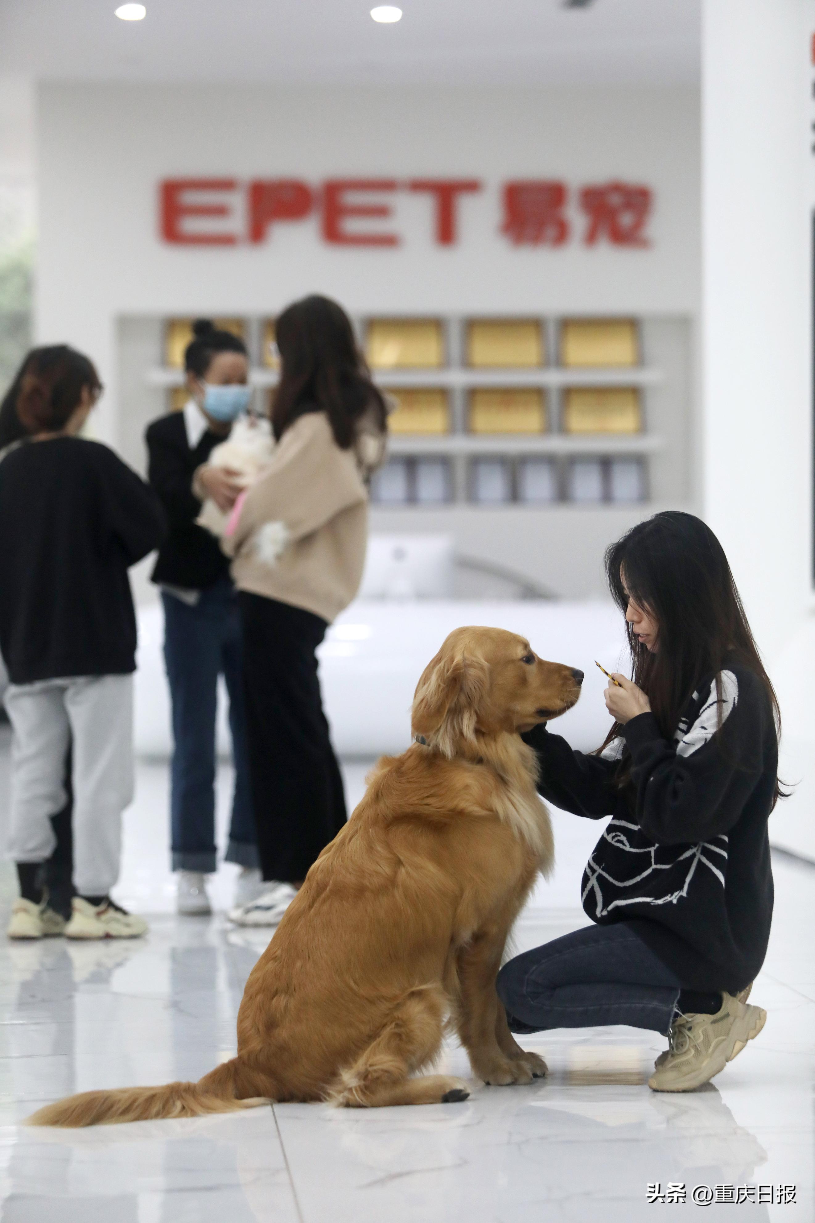 走进照母山发现新领域新赛道大型调研报道⑥|易宠科技:深耕宠物行业成龙头