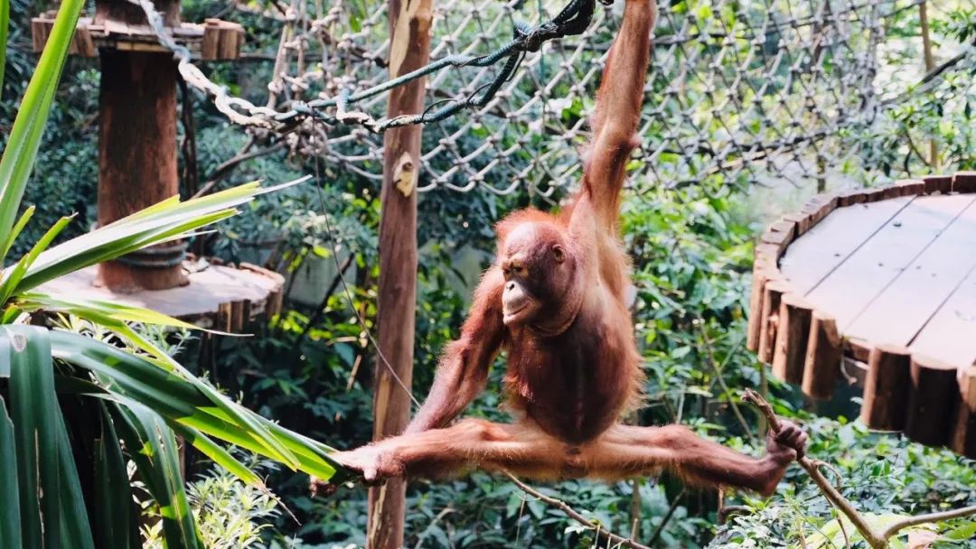 奇了怪了，究竟是什么宝地让广州老饕们也净爱往这钻？