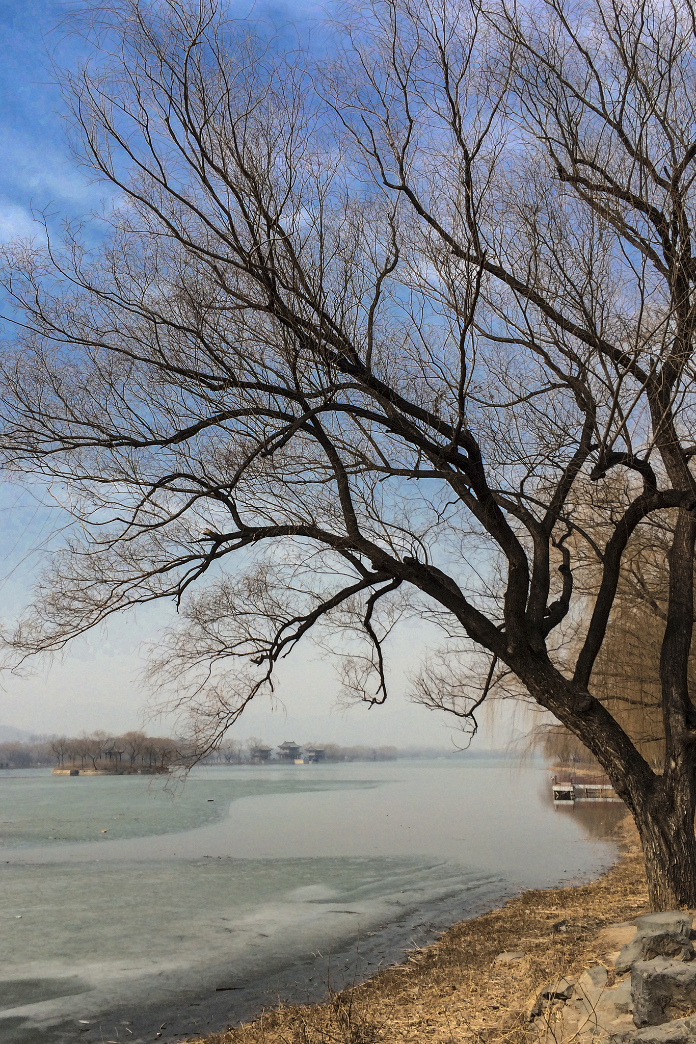 走颐和清漪，赏皇家园林之十一：昆明湖东堤（修订版）