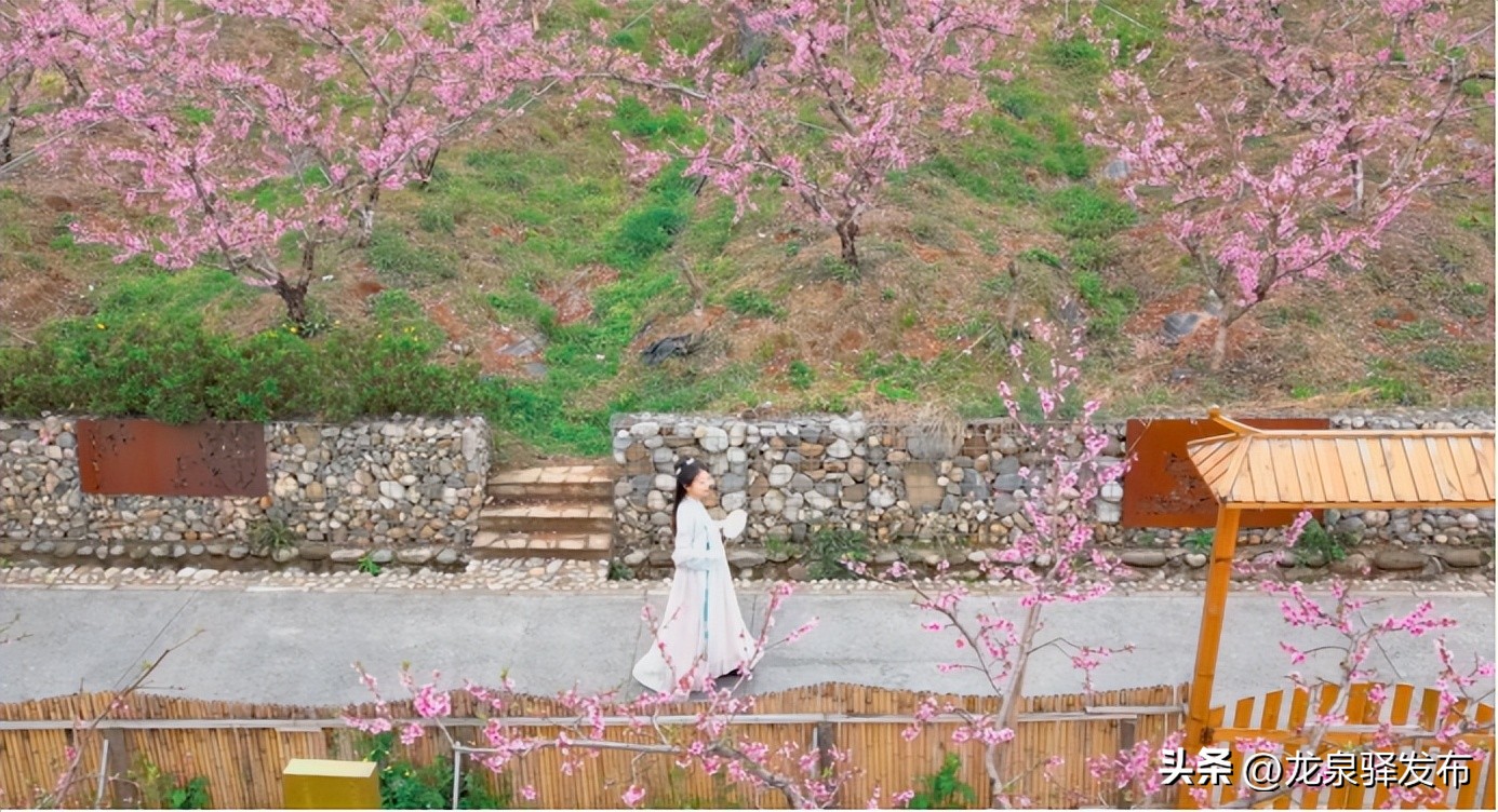 龙泉山看桃花最佳地点,2022年龙泉山赏桃花什么时间最佳