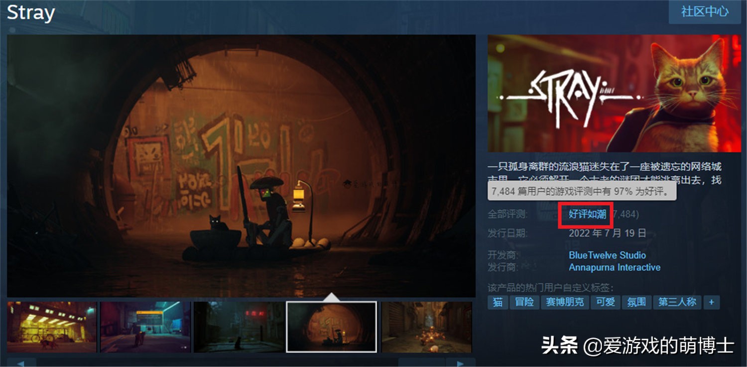 stray在steam多少钱,stray低配游戏推荐