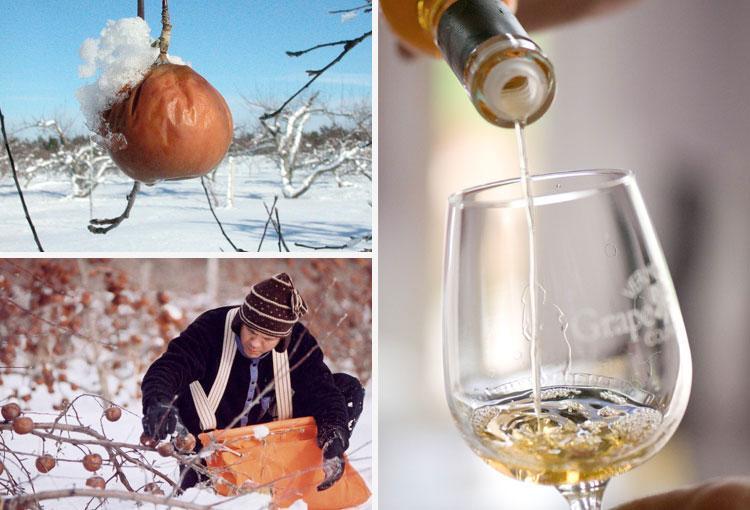 世界第一大果酒,世界三大果酒