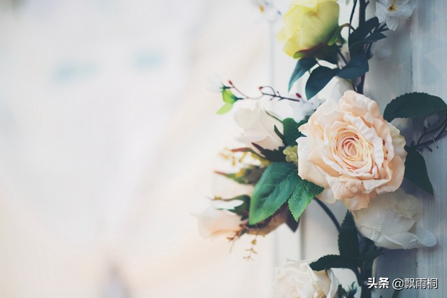 斯人若彩虹遇上方知有治愈系,斯人若彩虹遇上方知有情