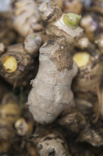 家备生姜,小病不慌,什么意思呢?一起来听听呗