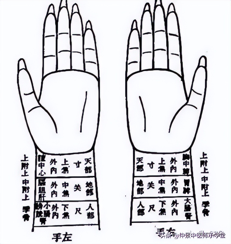 浮脉为什么主表证,浮脉主表