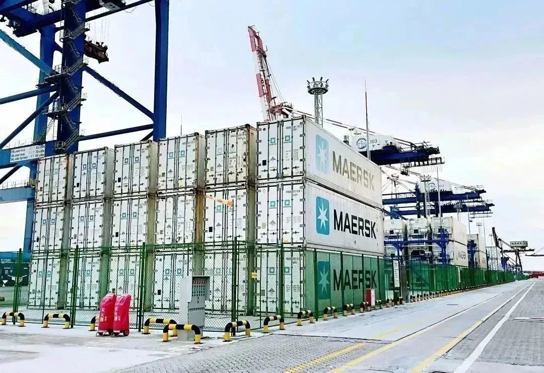 四十年逐梦深蓝：全球大港从“量”到“质”的蝶变|港口圈