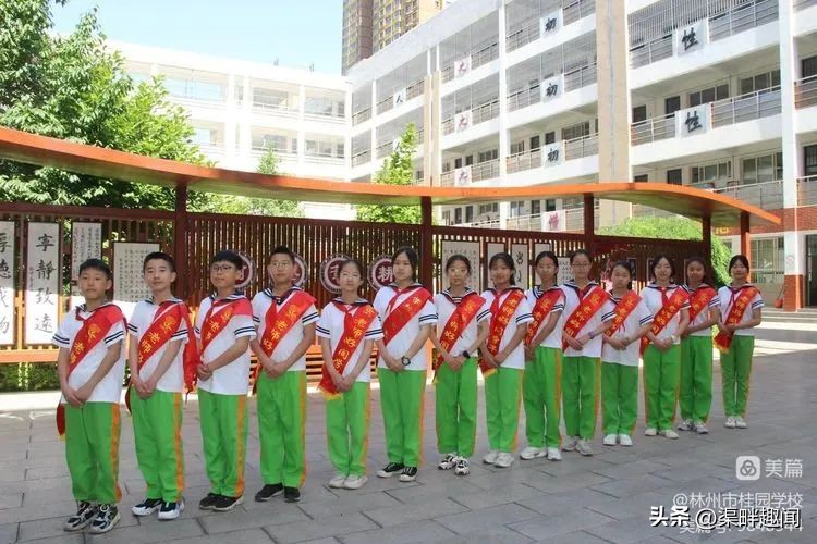 聚焦德育活动促学生全面发展,聚焦入学助力儿童成长公开课