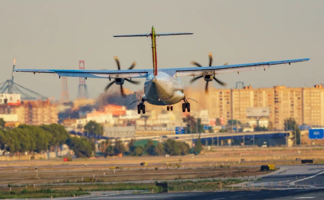 “Sheiseasy”什么意思?千万别乱用哦!