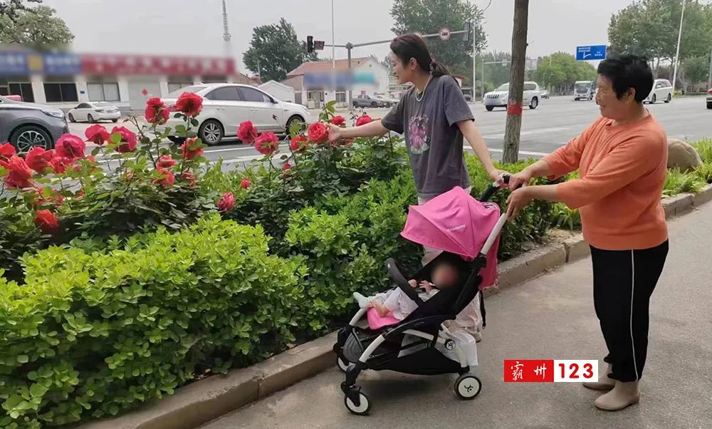 霸州美景,霸州风景如画
