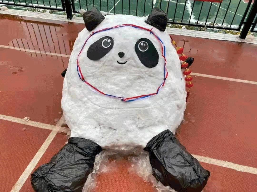 冰墩墩和他的出圈神曲,各种颜色的冰墩墩高清图片